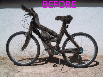 Fur Bicycle